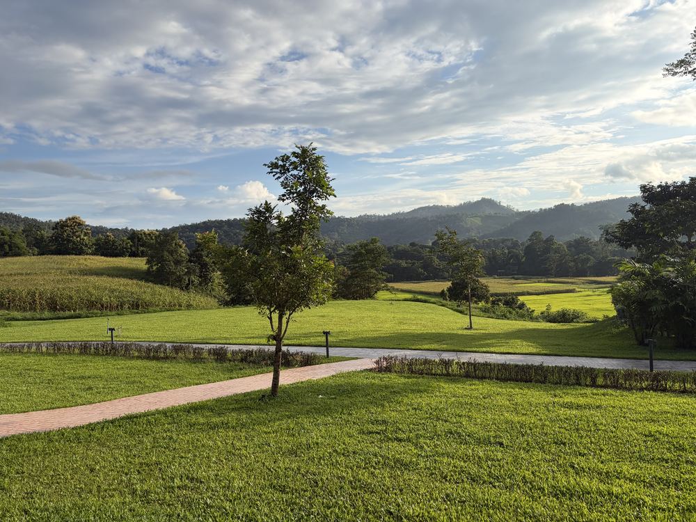 The view across the lawn to the hills