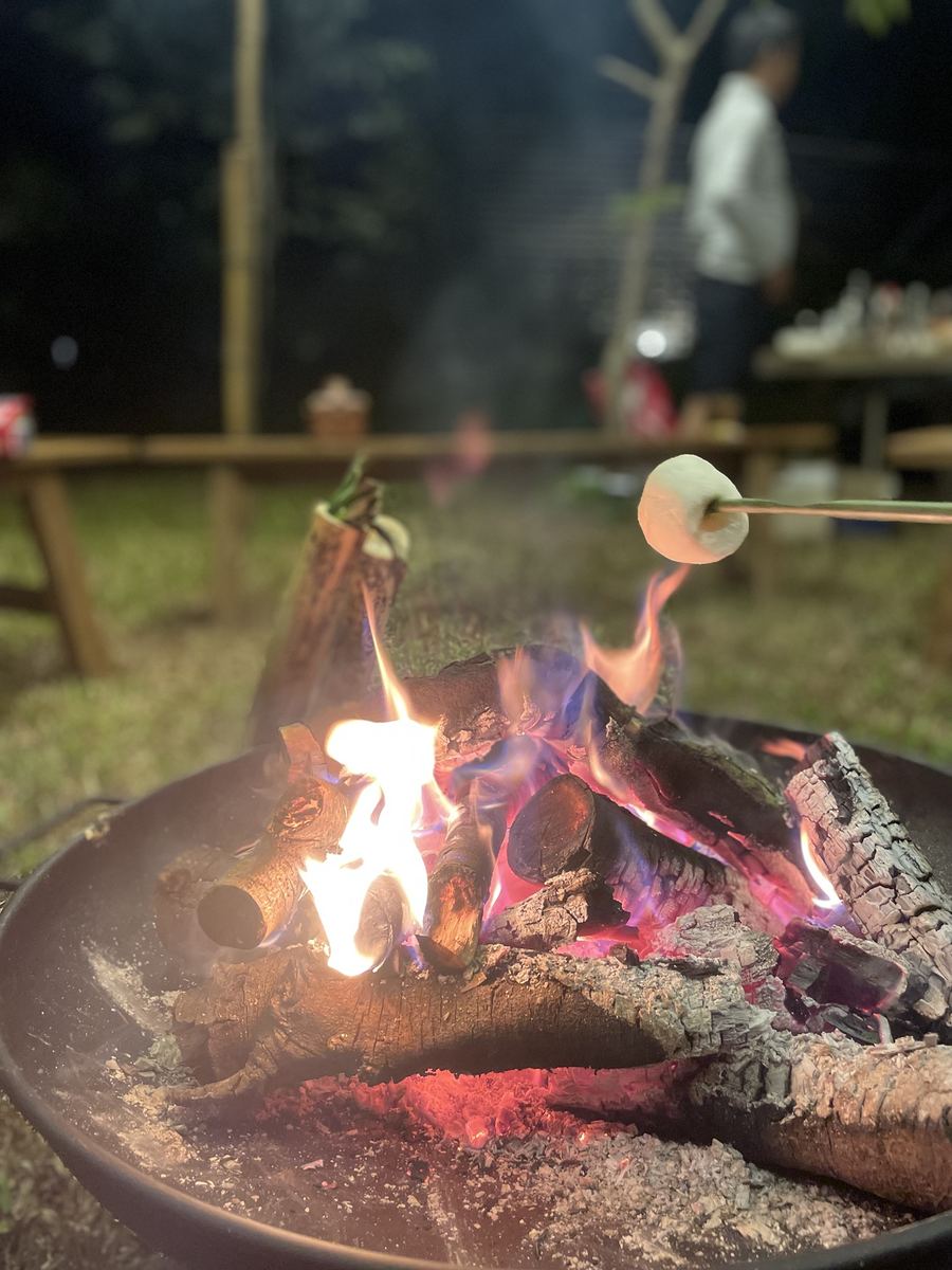 Marshmallows by the fire