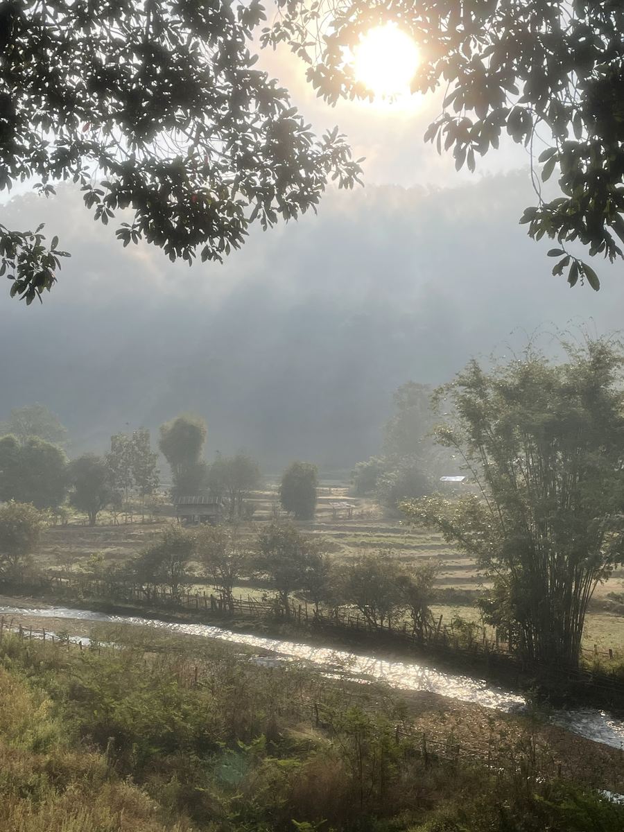Morning mist over the valley